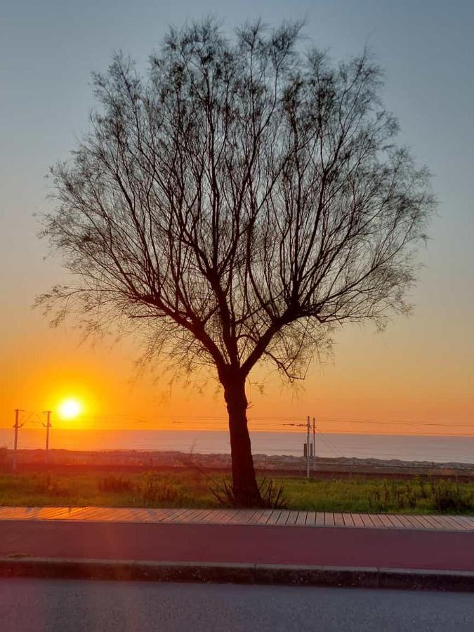 Monte Lírio Espinho (Aveiro)